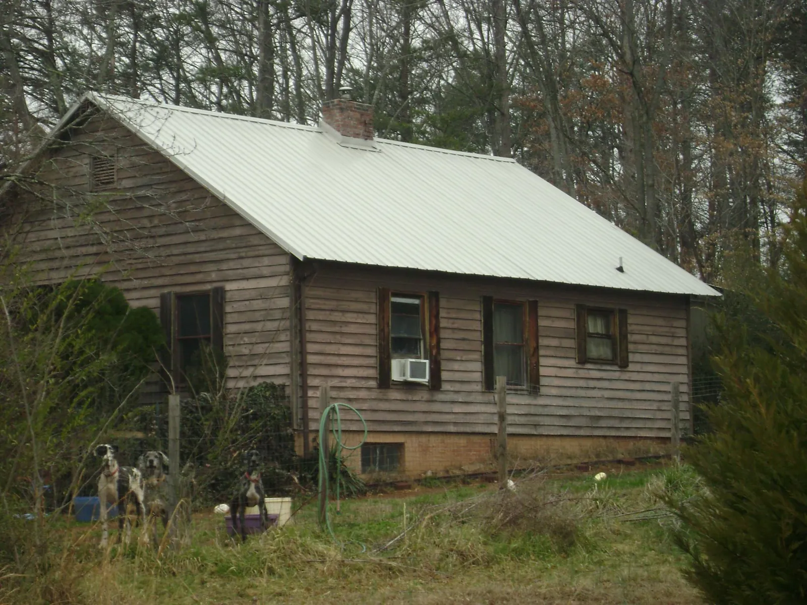 White metal roof on an old wood sided farmhouse, from a Asphalt Shingle Roof Repair job in Wayland
